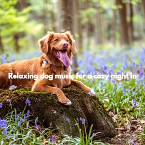 Relaxing dog music for a cozy night in - Soundscapes by Vernon Blair