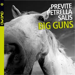 Big Guns - Bobby Previte
