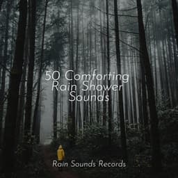 50 Comforting Rain Shower Sounds - Relajacion Del Mar