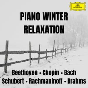 Piano Winter Relaxation - Ludwig van Beethoven