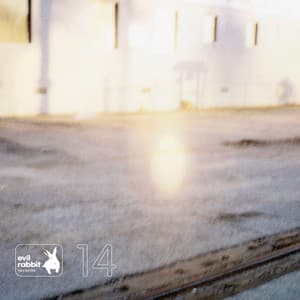 Ephemeral Rhizome - Gianni Lenoci