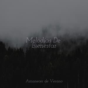 Melodías De Bienestar - Musica para Dormir Dream House