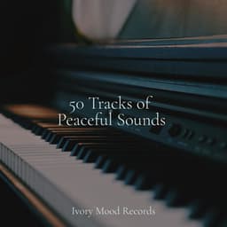 50 Tracks of Peaceful Sounds - Reiki Tribe