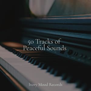 50 Tracks of Peaceful Sounds - Ivory Mood