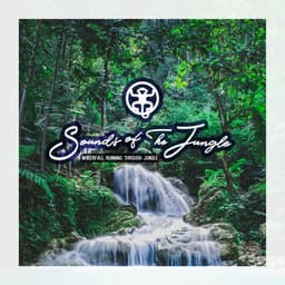 Waterfall Running Through Jungle - Sounds of the Jungle