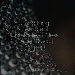 Soothing Ambient Melodies | New Age Music | Sleep - Sleepy Times