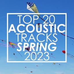 Top 20 Acoustic Tracks Spring 2023 - Guitar Tribute Players