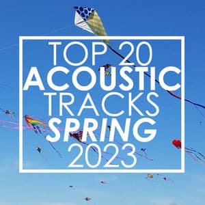 Top 20 Acoustic Tracks Spring 2023 - Guitar Tribute Players