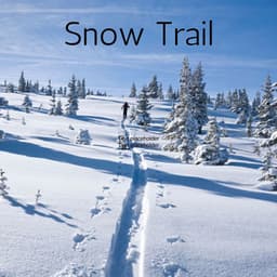 Snow Trail - Deep Rain Sampling