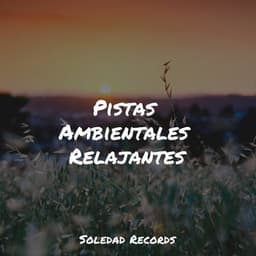 Pistas Ambientales Relajantes - Meditación