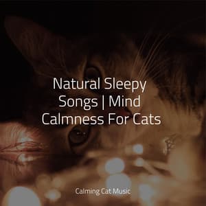Natural Sleepy Songs | Mind Calmness For Cats - Relaxmycat