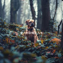 愛犬のお気に入り - Downtempo Jazz Rilassante