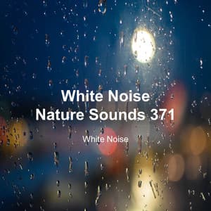 White Noise 371 - White Noise