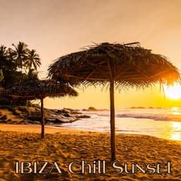The Next Level: IBIZA Chill Sunset, Deep House Music, Dj Summer Mix - Chillout Café
