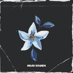 2 0 2 2 Relax Sounds - LOFI RADIO