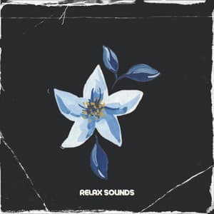 2 0 2 2 Relax Sounds - LOFI RADIO