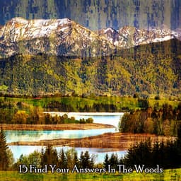 15 Find Your Answers In The Woods - Sound Library XL