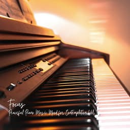 Focus: Peaceful Piano Music Mood for Contemplation Vol. 1 - Music for Focus and Concentration