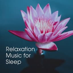 Relaxation Music for Sleep - Sounds of Nature White Noise for Mindfulness
