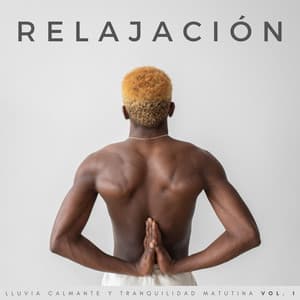 Relajación: Lluvia Calmante Y Tranquilidad Matutina Vol. 1 - Lluvia Calmante
