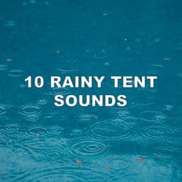10 Rainy Tent Sounds - Rainforest Sounds