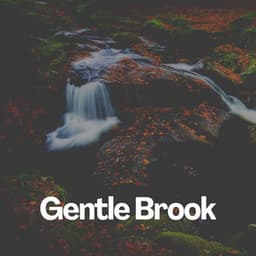 Gentle Brook - Nature Sound Collection