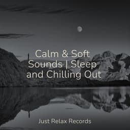 Calm & Soft Sounds | Sleep and Chilling Out - Relaxing Mindfulness Meditation Relaxation Maestro