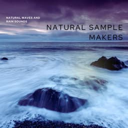 Natural Waves And Rain Sounds - Natural Sample Makers