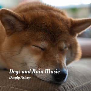 Dogs and Rain Music: Deeply Asleep - La Nature
