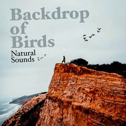Backdrop of Birds - Nature & Sounds Backgrounds