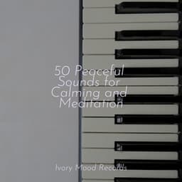 50 Peaceful Sounds for Calming and Meditation - Musica para Bebes