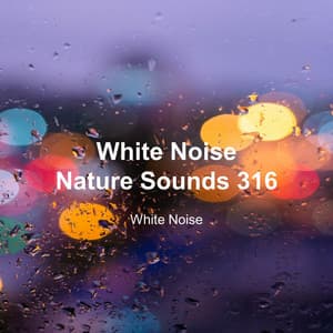 White Noise 316 - White Noise