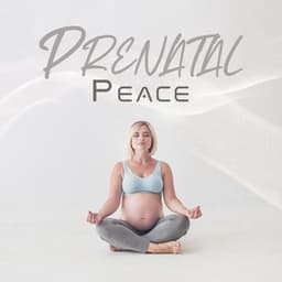 Prenatal Peace: Pregnancy Relaxation for You and Your Baby - Pregnant Women Music Company