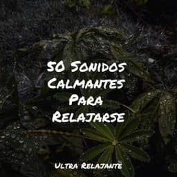50 Sonidos Calmantes Para Relajarse - Canção de Ninar Bebê