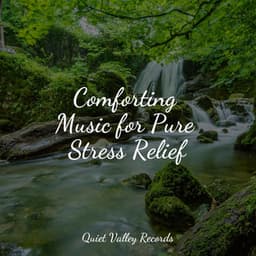 Comforting Music for Pure Stress Relief - Sleep Songs 101