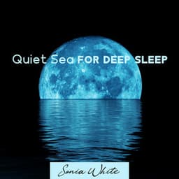 Quiet Sea for Deep Sleep: Calm Instrumental with Soothing Ocean Waves - Sonia White