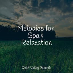 Melodies for Spa & Relaxation - Lullaby Rain