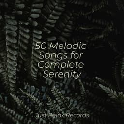 50 Melodic Songs for Complete Serenity - Exam Study Classical Music