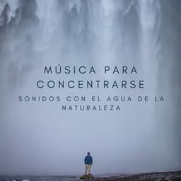 Música Para Concentrarse: Sonidos Con El Agua De La Naturaleza - Sonido Del Bosque y Naturaleza