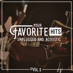Your Favorite Hits Unplugged and Acoustic, Vol. 2 - Acoustic Hits