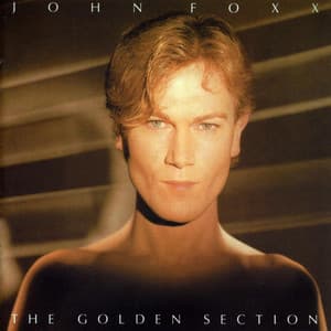 The Golden Section...Plus - John Foxx