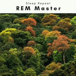 4 Dream: REM Master - Sleep Repeat