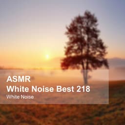 White Noise ASMR Best 218 - White Noise