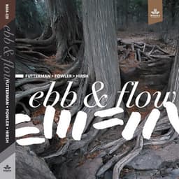 Ebb & Flow - Joel Futterman