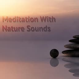 Meditation With Nature Sounds - Meditación Musical