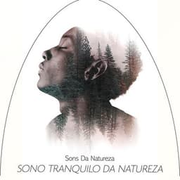 Sono tranquilo da natureza - Sons da Natureza