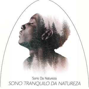 Sono tranquilo da natureza - Sons da Natureza