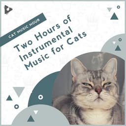 2 Hours of Instrumental Music for Cats - Cat Music Hour
