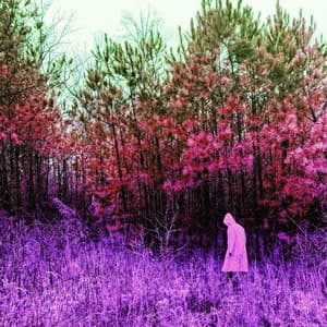 40 Days & 40 Nights - Mickey Woods Jr