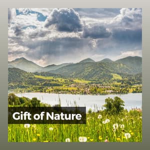 Gift of Nature - Essential Nature Sounds